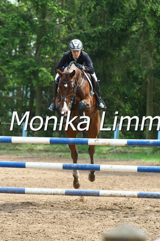 104M3577_Quich Jump E_Springpf L.JPG